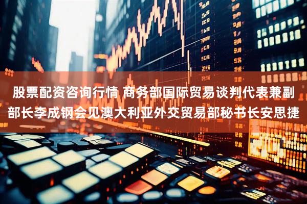 股票配资咨询行情 商务部国际贸易谈判代表兼副部长李成钢会见澳大利亚外交贸易部秘书长安思捷
