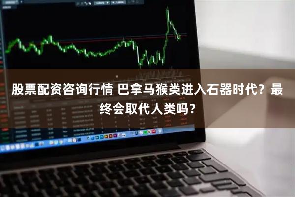 股票配资咨询行情 巴拿马猴类进入石器时代？最终会取代人类吗？